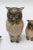 Collection of Six Mid-Century Japanese Modern Ceramic Owl Figurines For Sale - Image 10 of 12