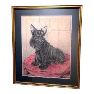 Original Pastel Portrait of Scottish Terrier Dog by Gladys Emerson Cook, C 1950 For Sale