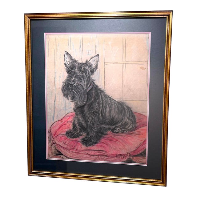 Original Pastel Portrait of Scottish Terrier Dog by Gladys Emerson Cook, C 1950 For Sale