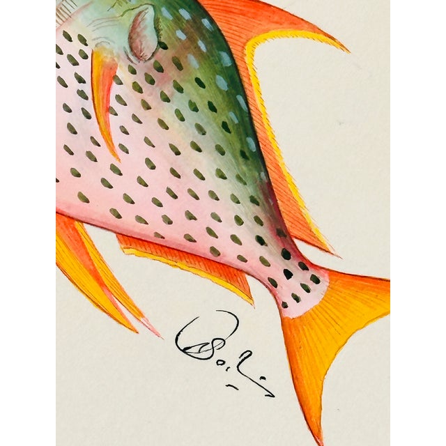 Not Yet Made - Made To Order Original Hand-Painted Rainbow-Colored Fish Painting, Framed For Sale - Image 5 of 5