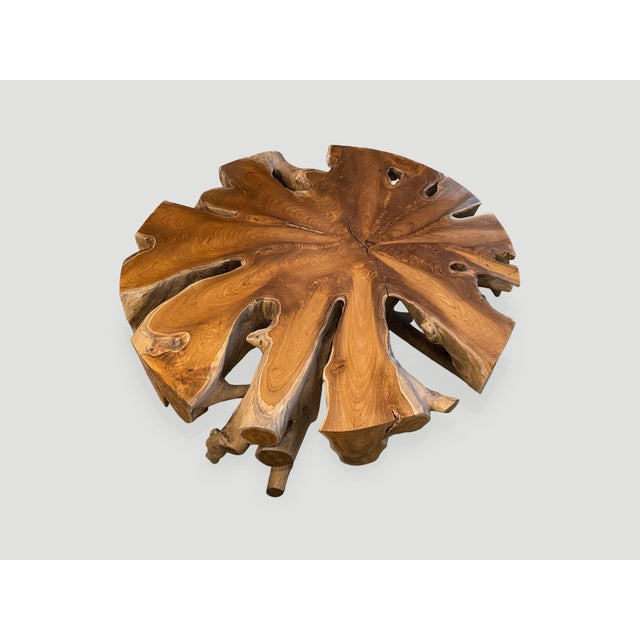Andrianna Shamaris Organic Teak Wood Round Coffee Table For Sale - Image 14 of 18