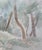 Giulio Da Milano, Undergrowth Forest, Trees, Greenery Watercolor, 1929 For Sale - Image 3 of 7