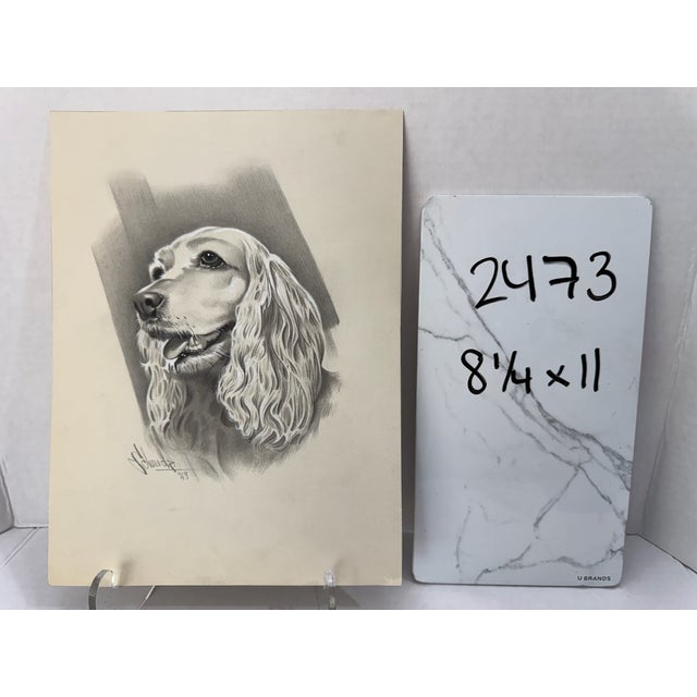 1940s Original Signed Graphite Portrait of Cocker Spaniel Dog, 1949, 11 × 8.25 In. For Sale In Atlanta - Image 6 of 6