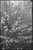 Not Yet Made - Made To Order Paul Cooklin, Scan 20211222 77, Edition of 50 For Sale - Image 5 of 5