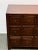 Vintage Chinese Apothecary Chest For Sale - Image 10 of 12
