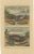 Various Fish Species and Other Marine Life, 1726, Paper, Set of 12 For Sale - Image 10 of 14