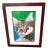 Vintage Cat Portrait Professionally Framed For Sale