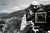 Apple Ansel Adams Poster For Sale