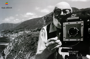 Apple Ansel Adams Poster