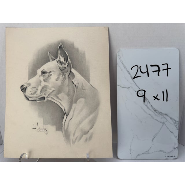 1940s Original Signed Graphite Illustration of Boxer Dog Portrait, 11 × 9 In. For Sale In Atlanta - Image 6 of 6