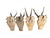 Wood Reo Deer Trophy Trophies Set of 4 136 Black Forest Antlers For Sale - Image 7 of 7