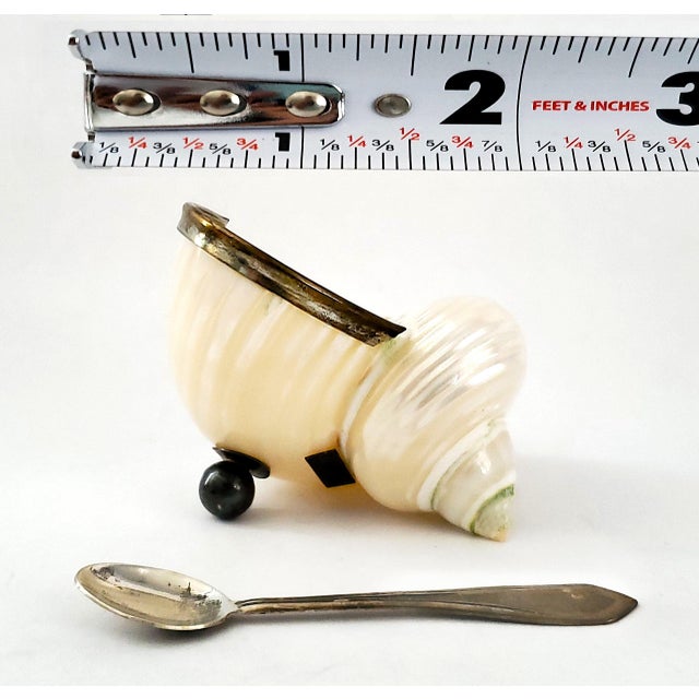Caviar Dish by Scully & Scully Sterling Silver 925 Hallmarked & Spoon Seashell Shell For Sale - Image 12 of 17