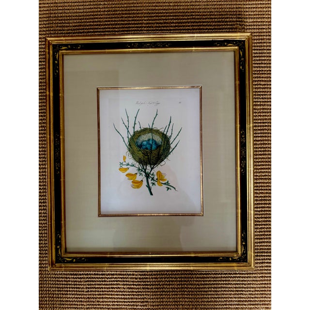 Set of 4 Antique English James Bolton Engravings From Harmonia Ruralis 1845 For Sale - Image 4 of 7