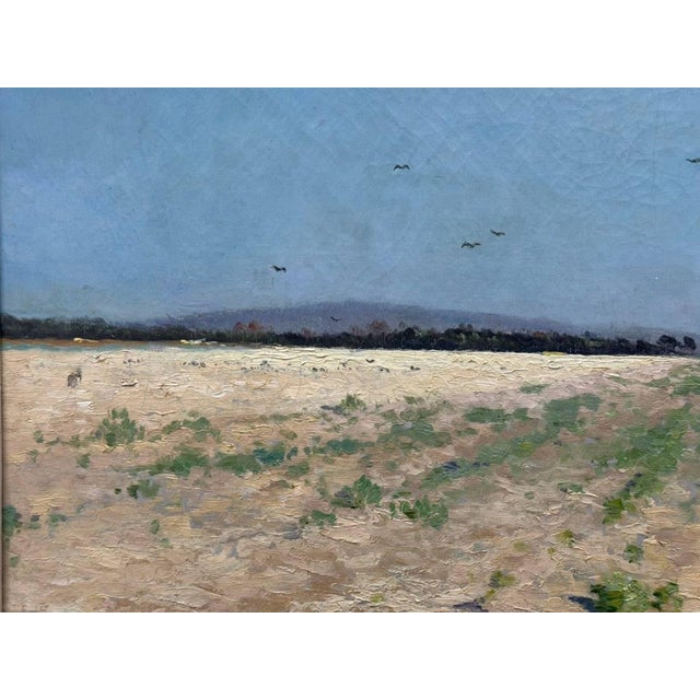 Sunny Field in Champagne - Armand Guéry, Signed Oil on Canvas, 19th Century For Sale - Image 4 of 11