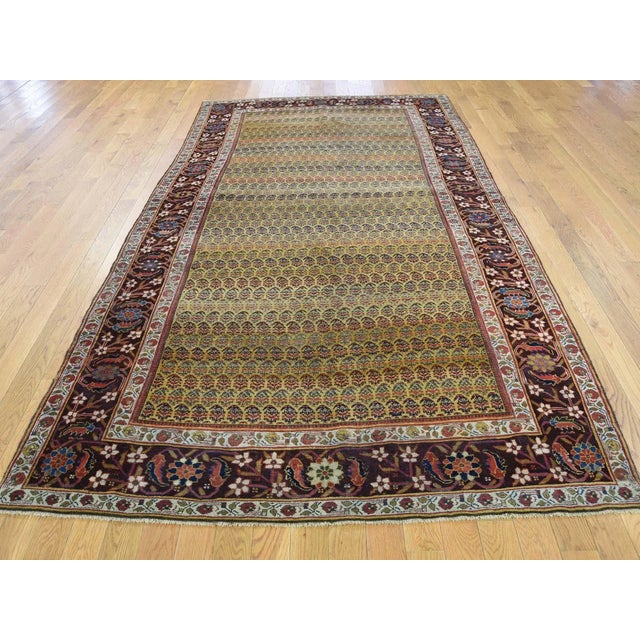 1900 - 1909 1900 Antique Persian Bidjar Yellow Boteh Wide Gallery Runner Rug For Sale - Image 5 of 13