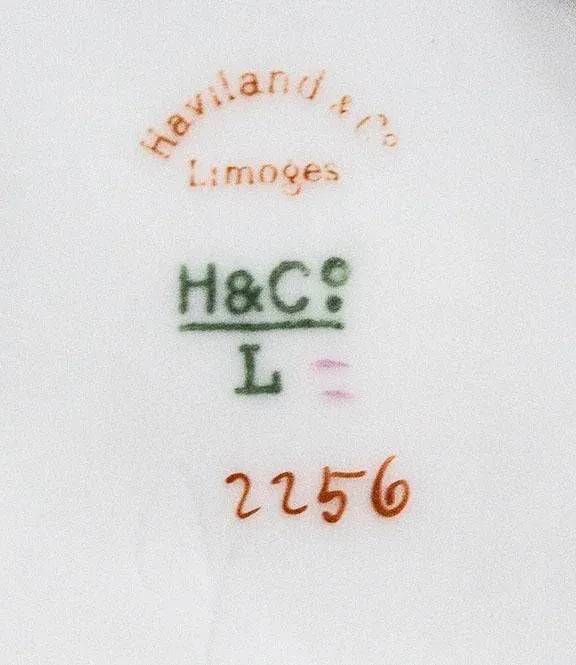 Vintage Haviland Limoges French Porcelain China Pattern: H3027
