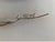 C. Hess Copper and Bronze Tree Sculpture Wall Art For Sale - Image 4 of 4