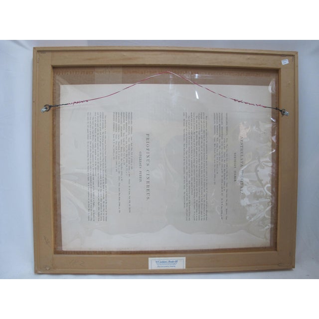 Printmaking Materials Daniel Giraud Elliot Hand Tinted 1869 Whitneys Fulmar & Puffin Framed Lithograph For Sale - Image 7 of 7