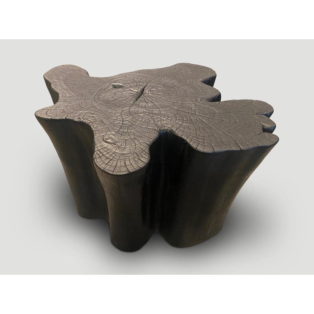 Andrianna Shamaris Amorphous Charred Teak Wood Coffee Table For Sale - Image 14 of 18
