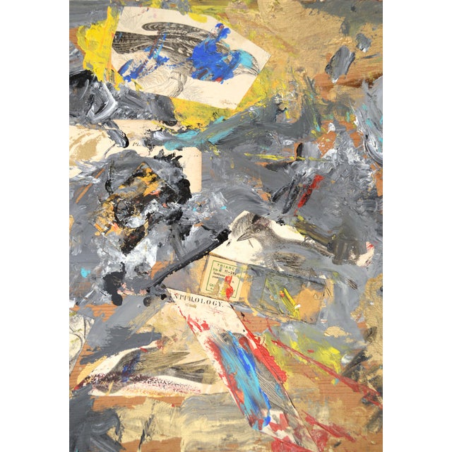 Abstract Expressionism Assemblage #5 (Ornithology Illustrations & Glass Slide With Silver, Gold Paint) by Michael Pauker For Sale - Image 3 of 10