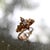 Late 19th Century 14k Gold Victorian Three-Stone Old Mine Cut Diamond Ring, Size 5.25 For Sale - Image 9 of 9
