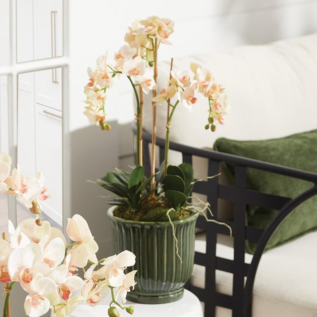 This set of earthenware pots are designed for the outdoors, but are equally as beautiful indoors. From the depth of the...