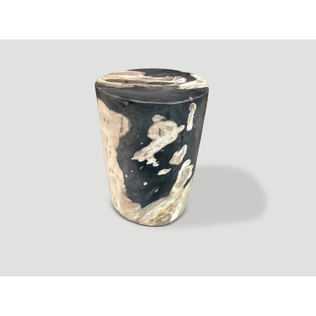 2020s Andrianna Shamaris Modern Organic Petrified Wood Side Table For Sale - Image 5 of 5