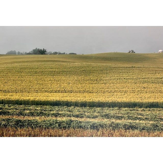 Maxwell Mackenzie, Farm Summer Landscape, Large Panoramic Vintage Color Photograph Signed Photo, 1992 For Sale - Image 4 of 7