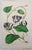 After William Fitch, Botanical Illustrations, 1838, Engravings, Set of 12 For Sale - Image 3 of 14