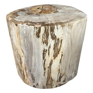 Andrianna Shamaris Impressive Large Petrified Wood Side Table For Sale