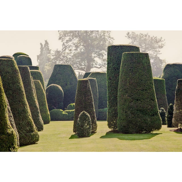 Guy Sargent, Le Jardin IV, Archival Pigment Print For Sale