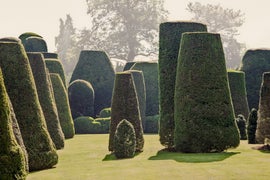 Example of Photography