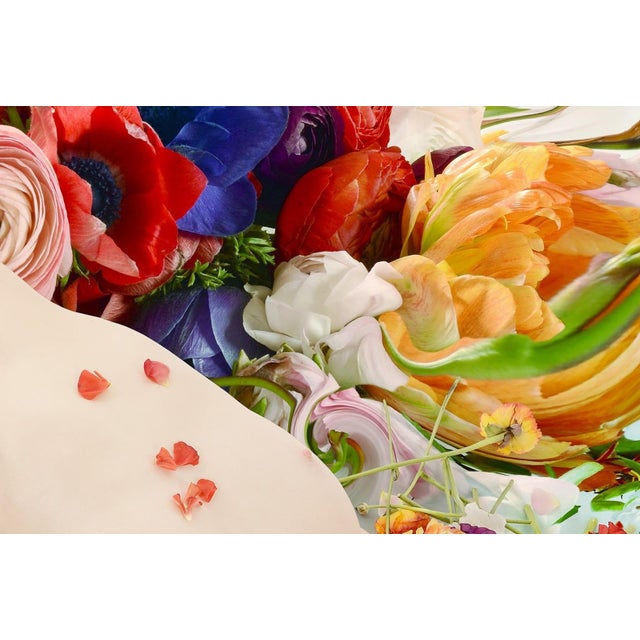 Flora 01, Photograph, Floral, 2015 For Sale - Image 4 of 5
