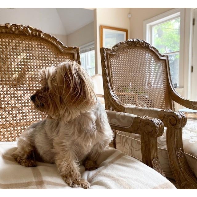 Fauteuil Armchairs by Nancy Corzine, a Pair For Sale - Image 12 of 12