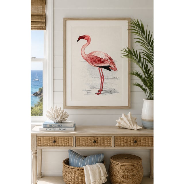 Illustration Lesser Flamingo by C. G. Finch-Davies, Vintage Reproduction Bird Art Print, 40" × 60" For Sale - Image 3 of 7