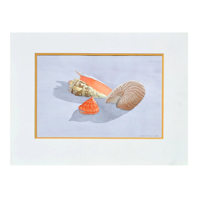 Seashell Still Life by Barbara Gibson For Sale