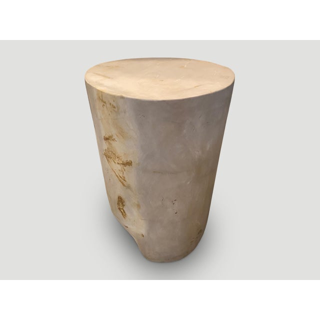 2010s Andrianna Shamaris Super Smooth High Quality Petrified Wood Side Table For Sale - Image 5 of 6