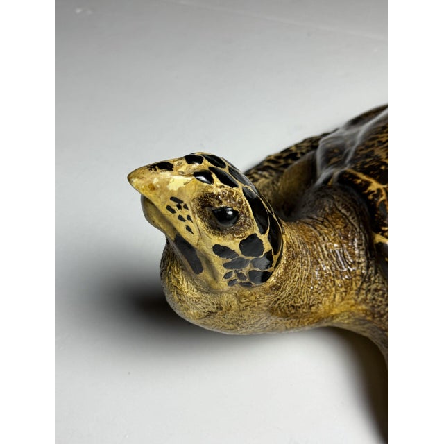 Realistic Plastic Turtle For Sale - Image 11 of 18