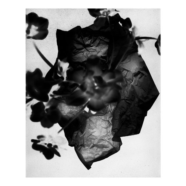 Ugne Pouwell, Unfold, 2026, Archival Pigment Print, Limited Edition of 15 For Sale