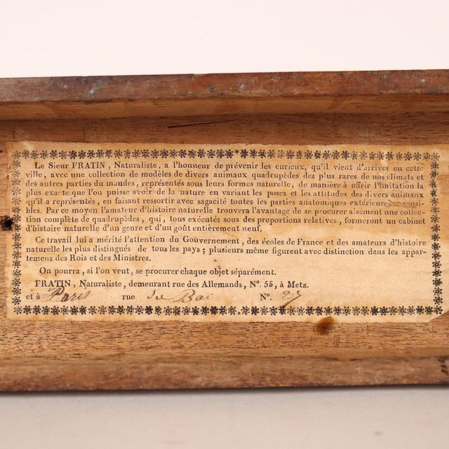 Horse Sculpture by Henry Fratin For Sale - Image 6 of 9