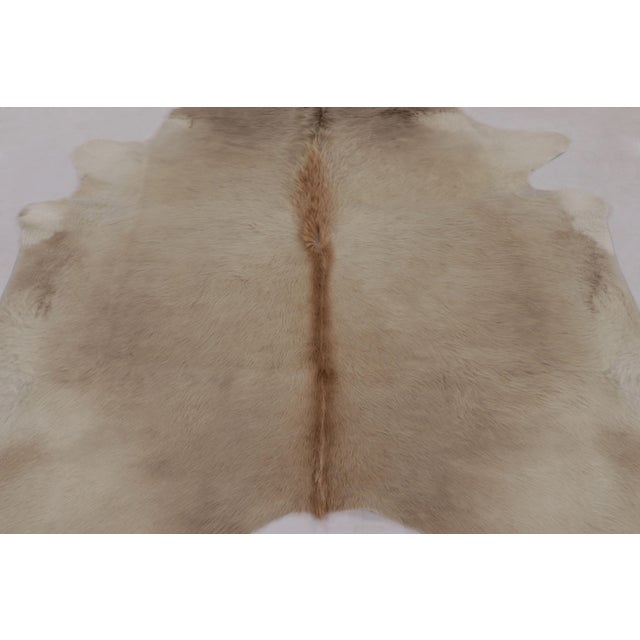 This handmade 7x8 contemporary cowhide rug from Rug & Kilim represents an exciting new collection of rare large-size...