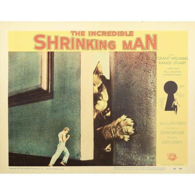 The Incredible Shrinking Man 1957 Original Vintage Cinema Lobby Card Framed In White. Extra Large 10x14" inches / 25x36 cm...