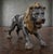 Large Bronze Sculptures of Lions, 1870, Set of 2 For Sale - Image 13 of 14