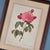 Pierre-Joseph Redouté, Roses, 1950s, Lithographs, Framed, Set of 2 For Sale - Image 12 of 18