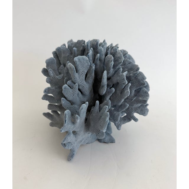Late 20th Century Natural Blue Coral Specimen Coastal Decor For Sale - Image 5 of 6
