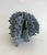 Late 20th Century Natural Blue Coral Specimen Coastal Decor For Sale - Image 5 of 6