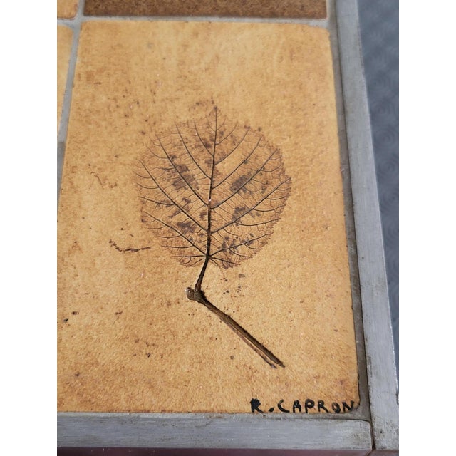 French Riviera Herbarium Coffee Table by Roger Capron, 1970 For Sale - Image 10 of 18