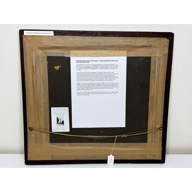 Old Badge Hen & Champion Cock Racing Pigeons Oil Portrait Winner Whitley Bay 1909 in the Manner of Andrew Beer. For Sale - Image 16 of 18