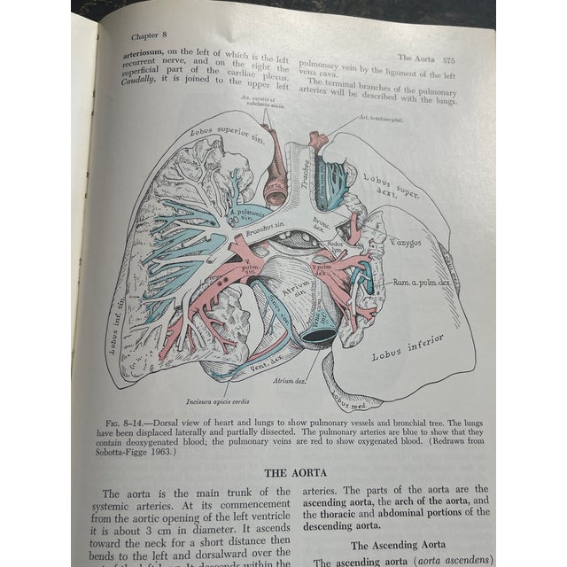 Vintage Set of 113 Medical Book 1895-1990's Mid Century For Sale - Image 13 of 18
