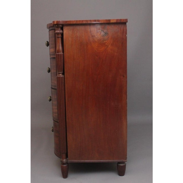 Antique Mahogany Bowfront Chest, 1830 For Sale - Image 4 of 14